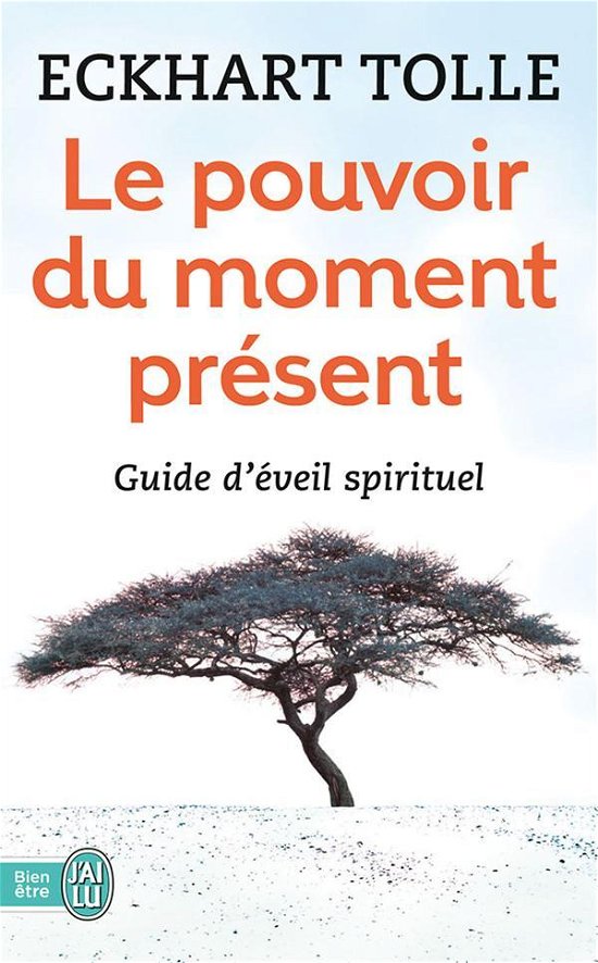 Cover for Eckhart Tolle · Le pouvoir du moment present: guide d'eveil spirituel (Pocketbok) [French edition] (2010)