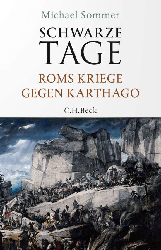 Cover for Sommer · Schwarze Tage (Book)