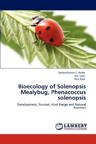 Cover for Pala Ram · Bioecology of Solenopsis Mealybug, Phenacoccus Solenopsis: Development, Survival, Host Range and Natural Enemies (Paperback Book) (2012)