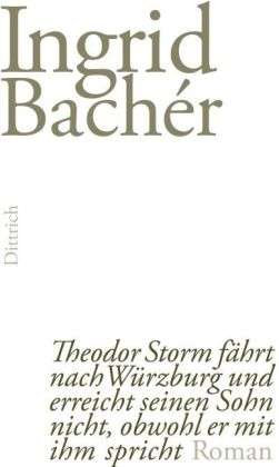 Theodor Storm fährt nach Würzbur - Bachér - Books -  - 9783943941203 - 