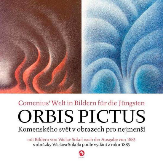 Cover for Comenius · Orbis pictus (Book)