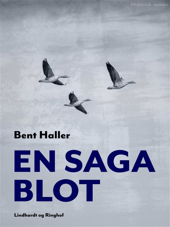En saga blot - Bent Haller - Livros - Saga - 9788711880203 - 16 de novembro de 2017