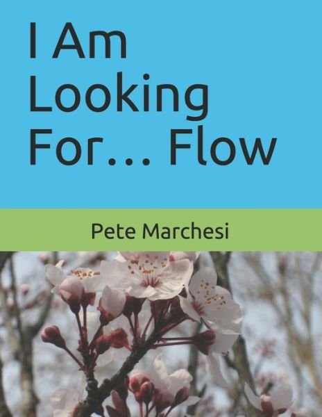 I Am Looking For... Flow - Pete Marchesi - Books - Independently Published - 9798676029203 - August 17, 2020