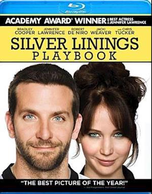 Cover for Silver Linings Playbook (Blu-ray) (2013)