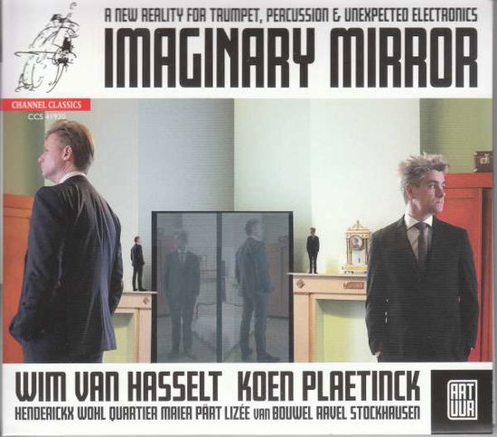 Cover for Wim Van Hasselt · Imaginary Mirror (CD) (2019)