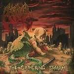 Cover for Atoll · The Gathering Swarm (CD) [Japan Import edition] (2016)