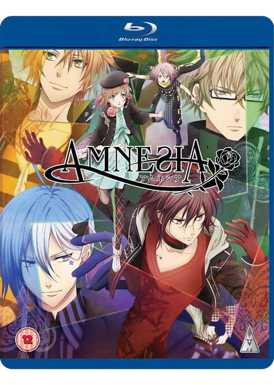 Amnesia Collection - Amnesia Collection BD - Filmes - MVM Entertainment - 5060067006204 - 20 de julho de 2015