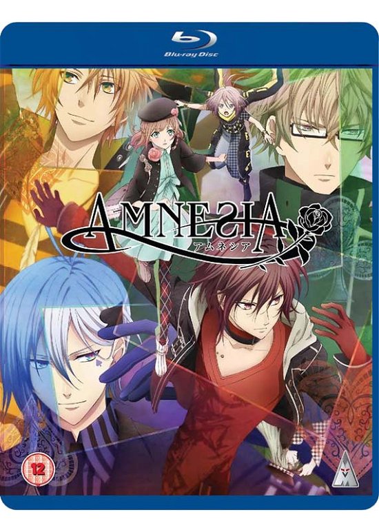 Cover for Amnesia Collection BD · Amnesia Collection (Blu-ray) (2015)