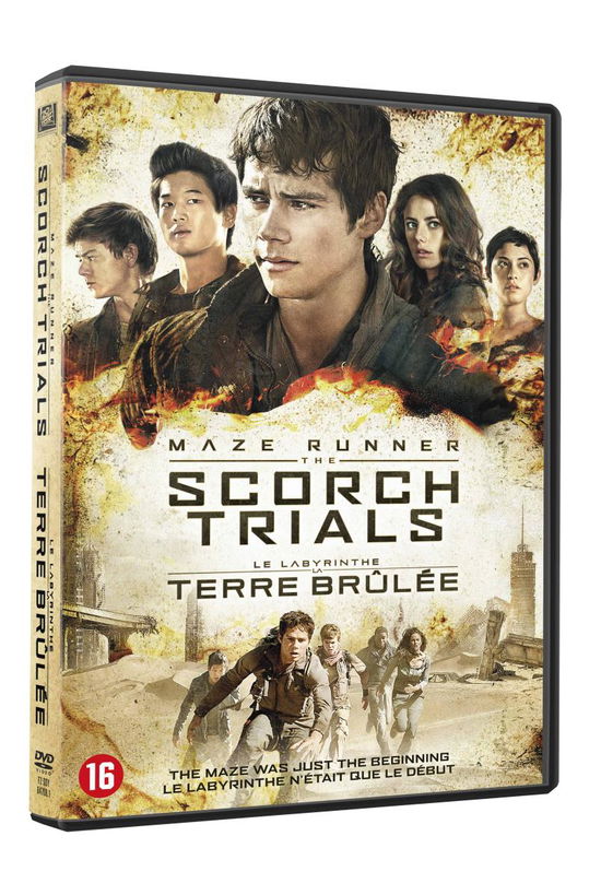 Cover for Maze Runner · Scorch Trials (DVD) (2016)