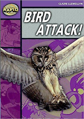 Rapid Reading: Bird Attack! (Stage 1, Level B) - Rapid - Claire Llewellyn - Books - Pearson Education Limited - 9780435910204 - September 10, 2007