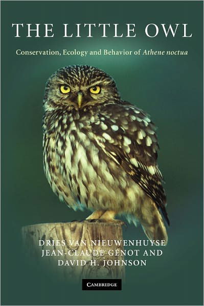 Cover for Dries Van Nieuwenhuyse · The Little Owl: Conservation, Ecology and Behavior of Athene Noctua (Pocketbok) (2011)