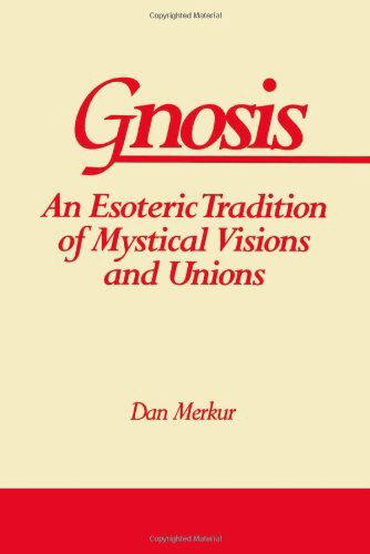 Cover for Dan Merkur · Gnosis: An Esoteric Tradition of Mystical Visions and Unions - SUNY series in Western Esoteric Traditions (Paperback Book) (1993)