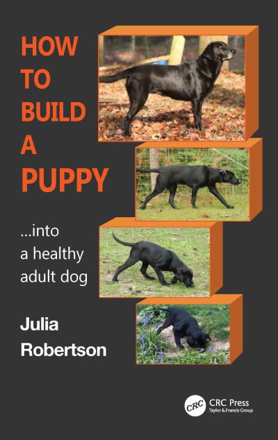 Cover for Robertson, Julia (Galen Myotherapy, UK) · How to Build a Puppy: Into a Healthy Adult Dog (Paperback Book) (2022)
