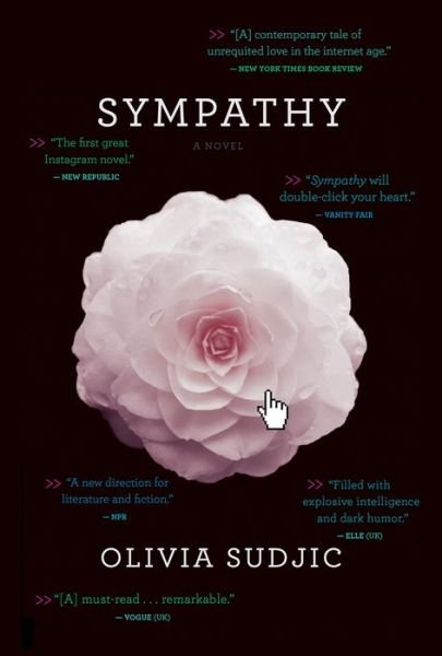 Cover for Sudjic Olivia Sudjic · Sympathy (Pocketbok) (2018)