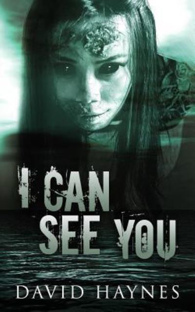 Cover for David Haynes · I Can See You (Paperback Book) (2016)