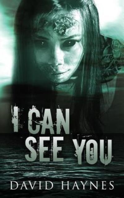 Cover for David Haynes · I Can See You (Pocketbok) (2016)