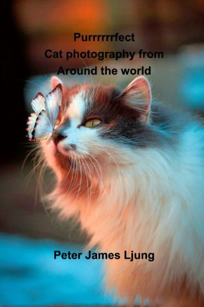 Cover for Peter James Ljung · PURRRRRRFECT Cat photography (Paperback Book) (2020)