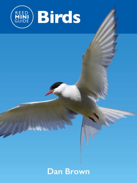 Reed Mini Guide: Birds - Dan Brown - Books - New Holland Publishers - 9781760796204 - September 1, 2024