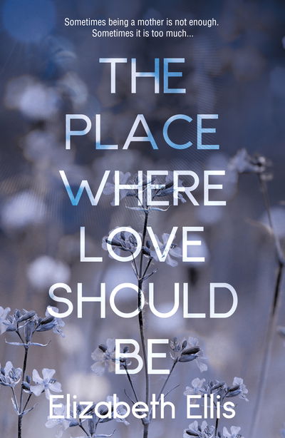 Cover for Elizabeth Ellis · The Place Where Love Should Be (Paperback Book) (2018)