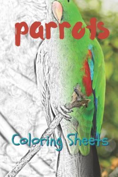 Cover for Julian Smith · Parrot Coloring Sheets (Paperback Book) (2019)