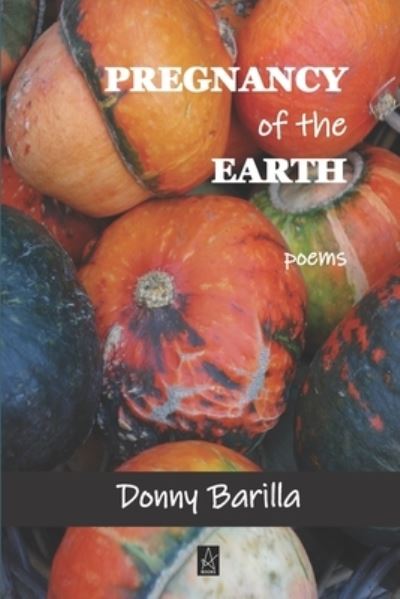 Cover for Donny Barilla · Pregnancy of the Earth (Pocketbok) (2020)