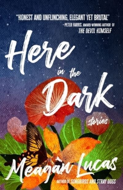 Cover for Meagan Lucas · Here in the Dark (Book) (2023)