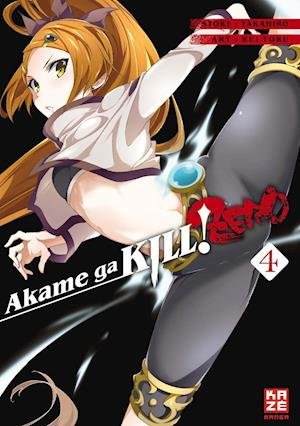 Cover for Toru · Akame ga KILL! ZERO 04 (Book)