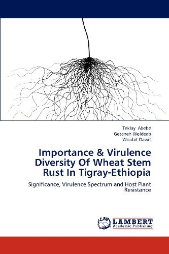 Cover for Woubit Dawit · Importance &amp; Virulence Diversity of Wheat Stem Rust in Tigray-ethiopia: Significance, Virulence Spectrum and Host Plant Resistance (Taschenbuch) (2012)