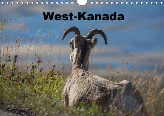 Cover for Bort · West-Kanada (Wandkalender 2021 DIN (Book)