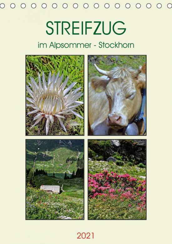 Cover for Michel · STREIFZUG im Alpsommer - Stockho (Book)