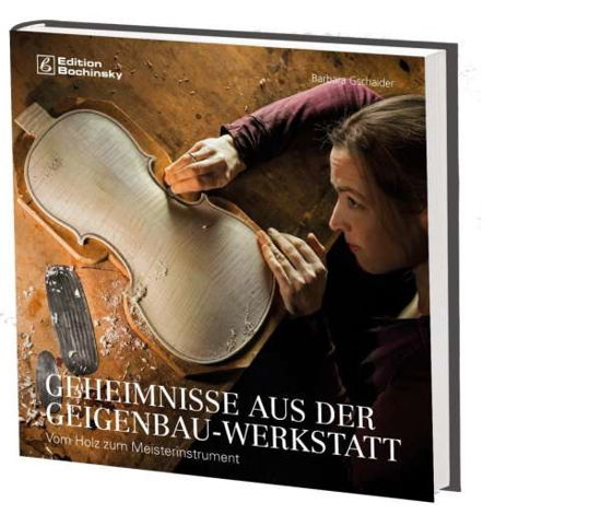 Cover for Gschaider · Geheimnisse aus der Geigenbau (Buch)