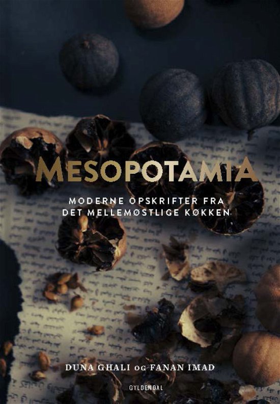 Mesopotamia - Fanan Imad; Duna Talib Ghali - Bøger - Gyldendal - 9788702212204 - 31. oktober 2016