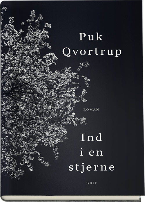 Cover for Puk Qvortrup · Ind i en stjerne (Bound Book) [1st edition] (2019)