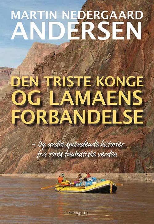 Cover for Martin Nedergaard Andersen · Den triste konge og lamaens forbandelse (Sewn Spine Book) [1e uitgave] (2020)