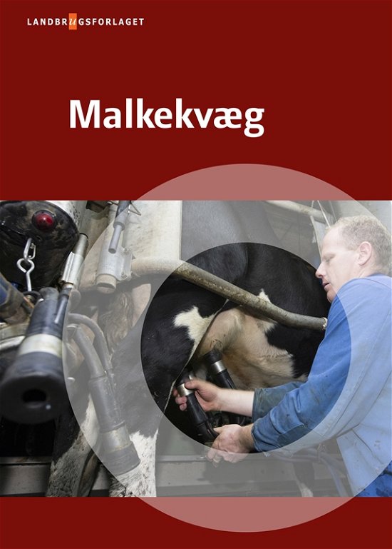Malkekvæg - Per Justensen og Per Rasmussen Jens Christian Holgaard - Books - SEGES Forlag - 9788793050204 - February 2, 2014