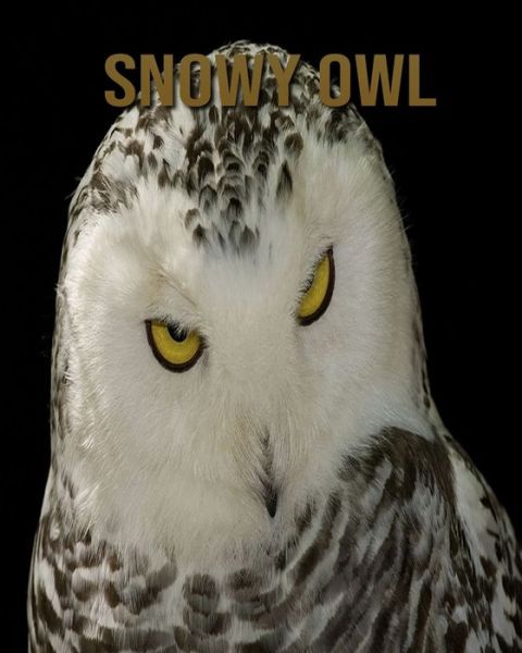 Cover for Joe Murphy · Snowy owl (Paperback Book) (2020)