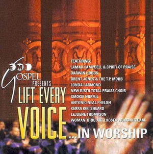 Cover for Lift Every Voice in Worship · T.D.Jakes &amp; Joy Hill,Antonio Neal,New Birth Choir,Darwin Hobbs... (CD) (2004)