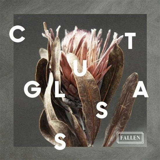 Cover for Cut Glass · Fallen (CD) (2013)