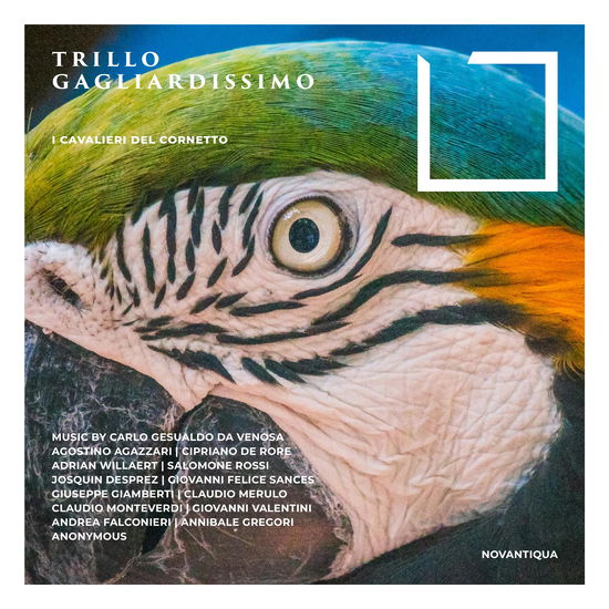 Cover for I Cavalieri Del Corn · Trillo Gagliardissimo (CD) (2024)