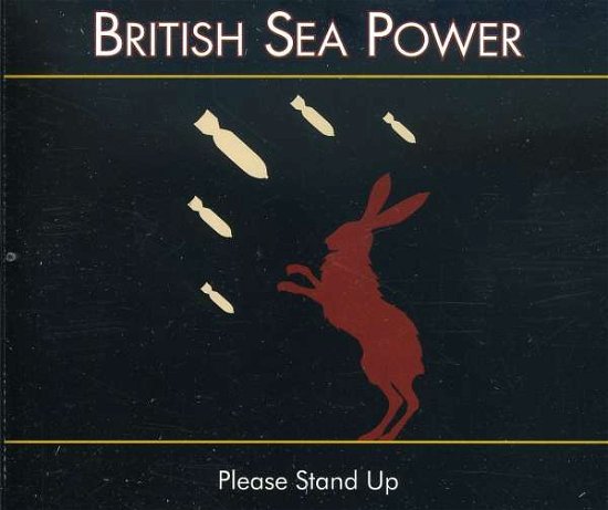 Cover for British Sea Power · British Sea Power-please Stand Up (CD) (2016)