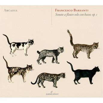 Cover for F. Barsanti · Sonate a Flauto Solo Con Basso Op.1 (CD) (2015)