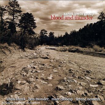 Cover for Aaron -Group- Irwin · Blood And Thunder (CD) (2008)