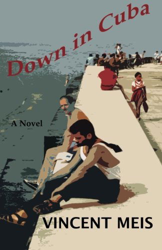 Cover for Vincent Meis · Down in Cuba (Paperback Book) (2013)