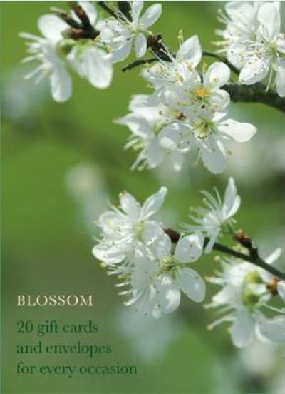 Cover for Anness Publishing · Blossom Large Card Box (Flashcards) (2016)