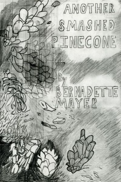 Another Smashed Pinecone - Bernadette Mayer - Książki - United Artists Books - 9780935992205 - 1 czerwca 1998