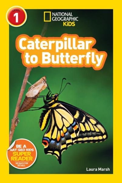 National Geographic Readers: Caterpillar to Butterfly - National Geographic Readers - Laura Marsh - Kirjat - National Geographic Kids - 9781426309205 - tiistai 10. huhtikuuta 2012