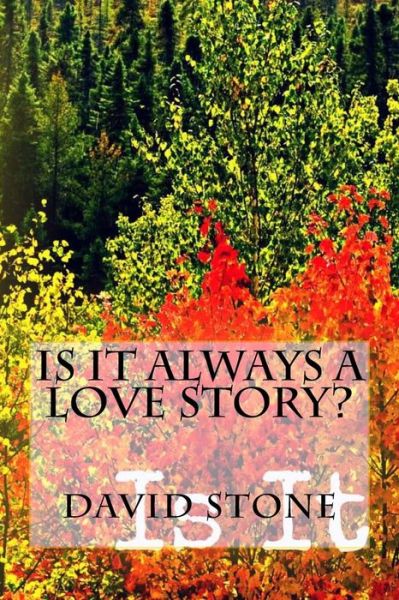 Cover for David Stone · Is It Always A Love Story? (Taschenbuch) (2016)