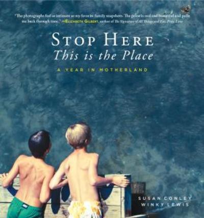 Cover for Susan Conley · Stop Here, This is the Place (Hardcover Book) (2016)