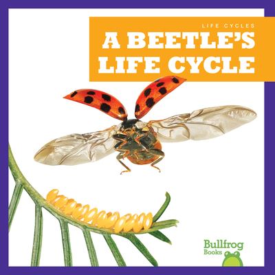 Beetle's Life Cycle - Rice - Other - Jump! Incorporated - 9781636908205 - August 1, 2022