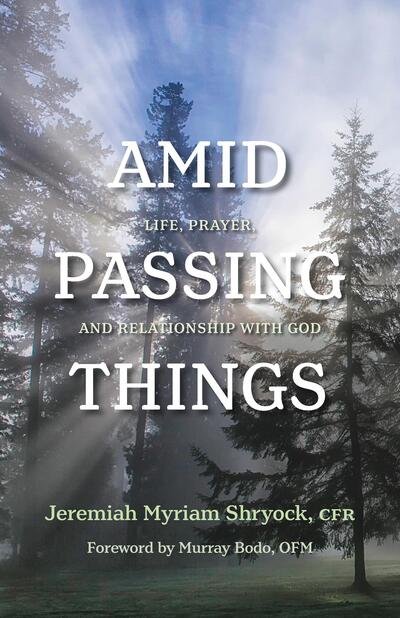 Cover for Jeremiah Shryock · Amid Passing Things: Life, Prayer, and Relationship with God (Pocketbok) (2019)